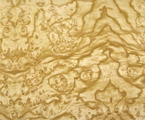 Ash White Burl Wood Veneer Sheet AA Grade - JSO Wood Products